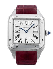 Cartier Santos-Dumont Stainless Steel Large with Brown Strap